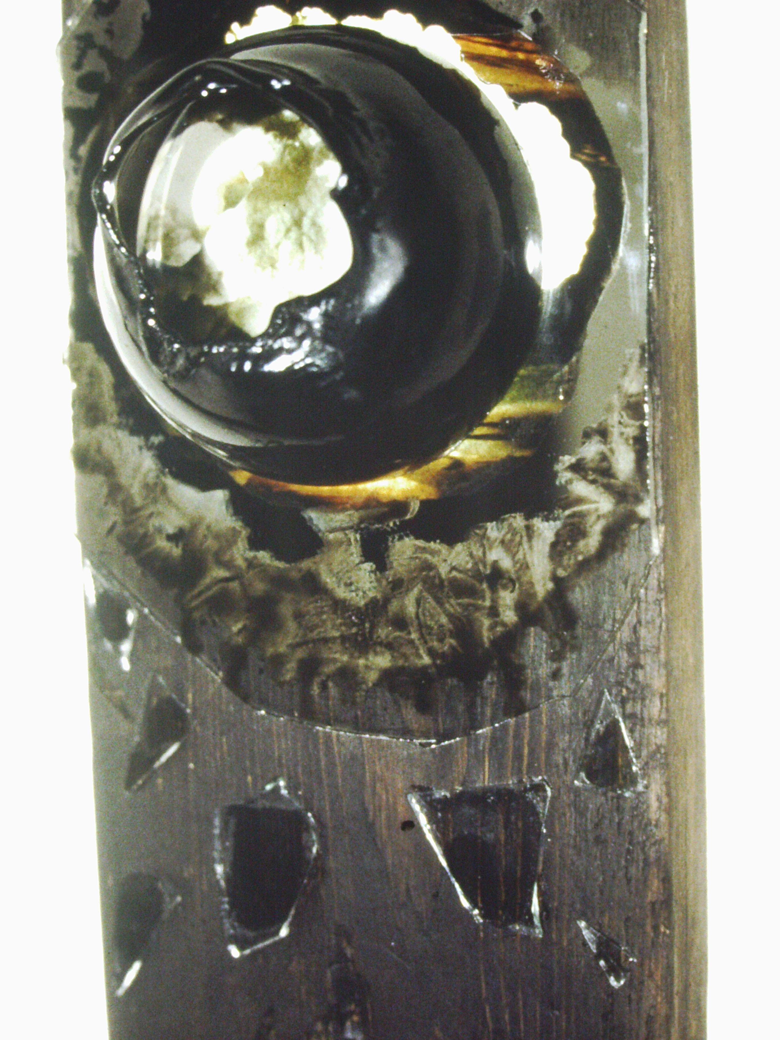 Birth Mutation detail