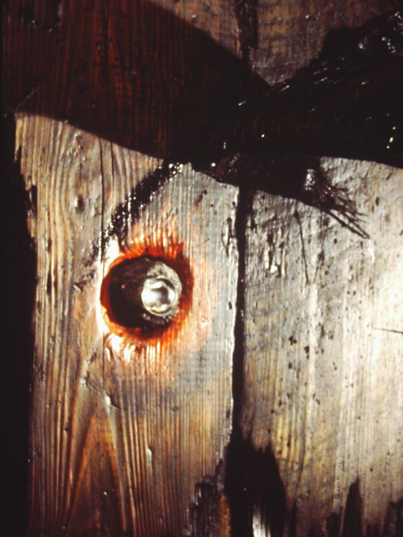 Remnant of the Recent World